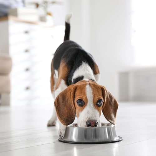 SPOT No-Tip Pet Bowl for Cats Small Dogs Large Dogs Classic Durable Non Slip Cat Dish Dog Bowls for Food and Water - 24oz - 3cup - Image 3