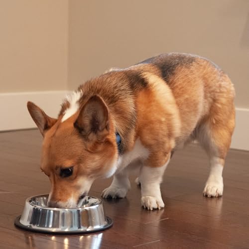 SPOT No-Tip Pet Bowl for Cats Small Dogs Large Dogs Classic Durable Non Slip Cat Dish Dog Bowls for Food and Water - 24oz - 3cup - Image 2