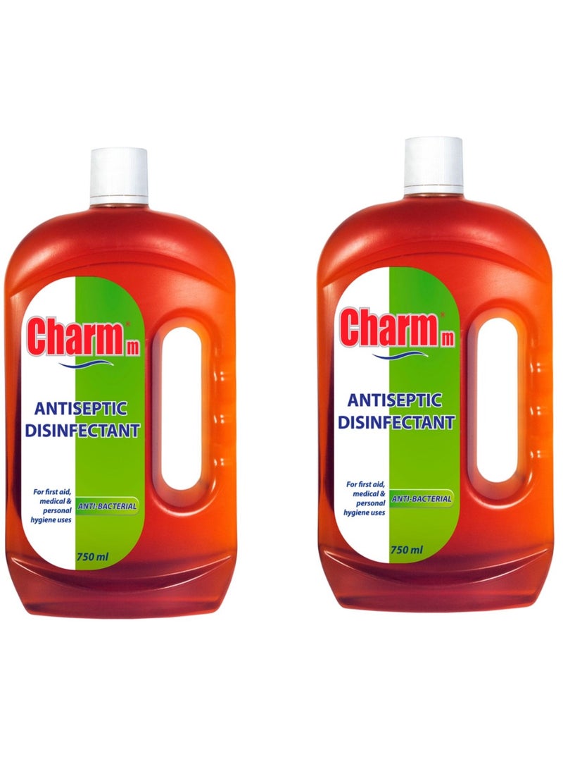 Charmm Antiseptic Disinfectant 750ml Pack Of 2 - Image 1