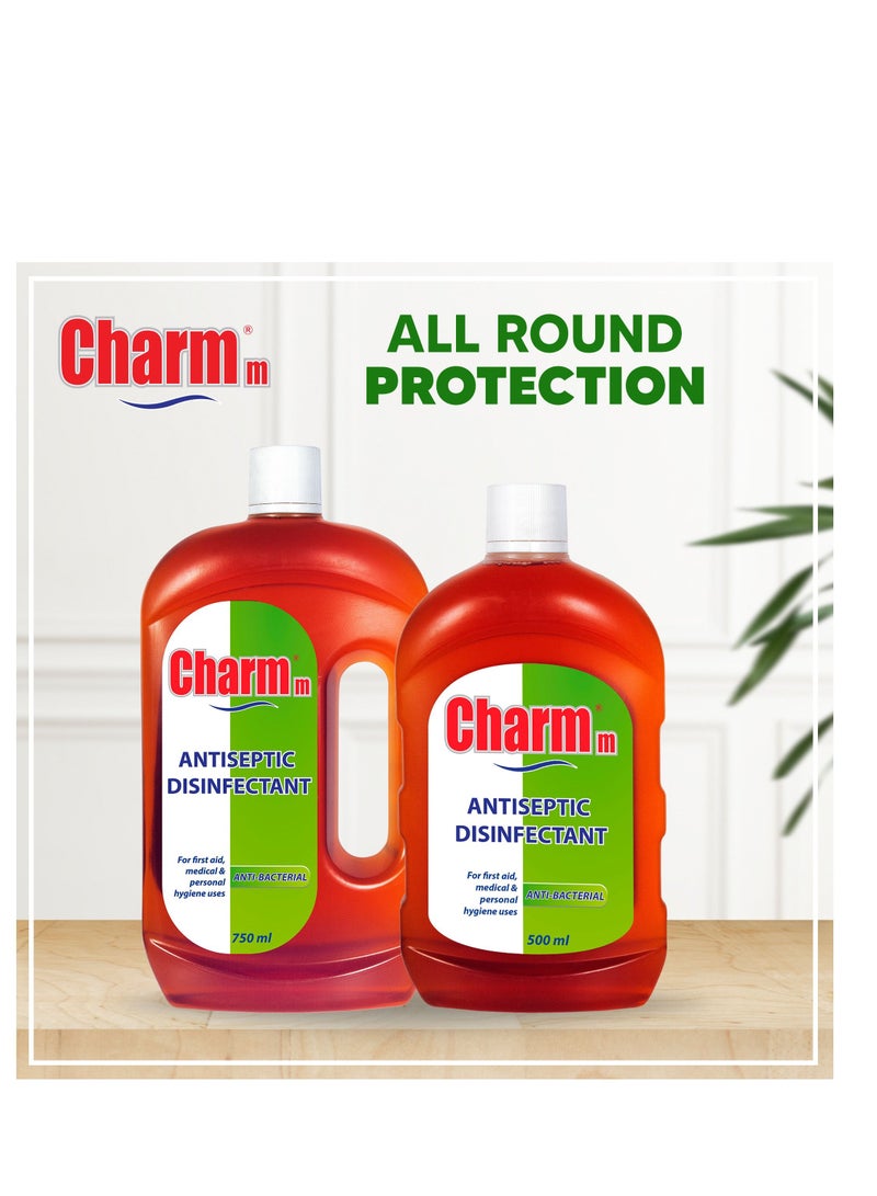Charmm Antiseptic Disinfectant 750ml Pack Of 2 - Image 4