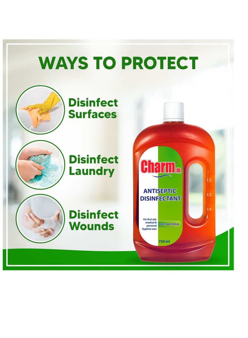 Charmm Antiseptic Disinfectant 750ml Pack Of 2 - Image 3