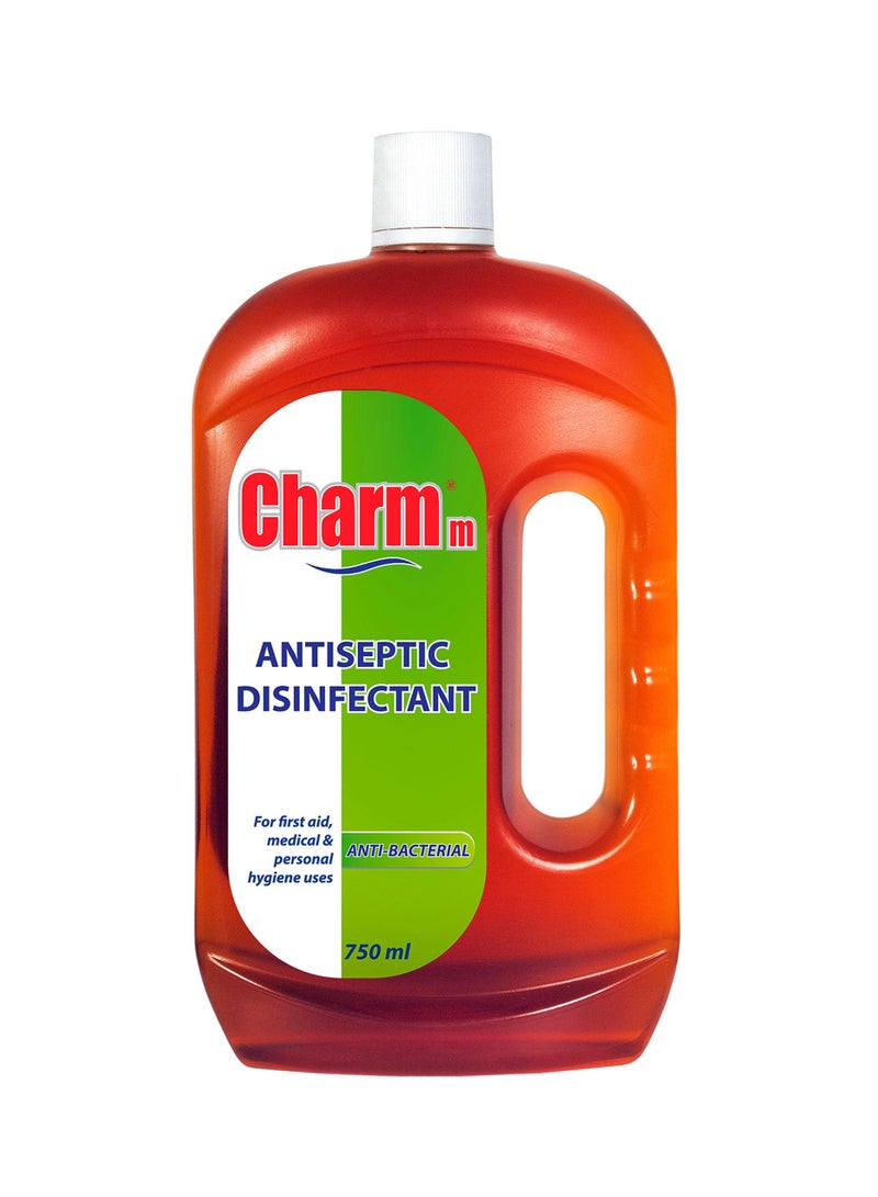 Charmm Antiseptic Disinfectant 750ml Pack Of 2 - Image 2