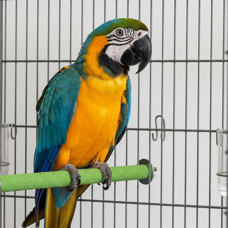 Skrfren Bird Perch Stand Toy, Colorful Wood Parrot Perch Stand Platform Paw Grinding Stick Cage Accessories Exercise Toys Colorful Sand Paw Grinding Stick, Bird Cage Accessories for Budgie Parakeet Cockatiel - Image 5