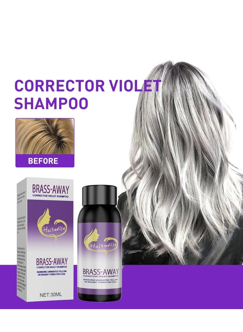 إيلهو شامبو أرجواني للشعر الرمادي - شامبو تونر صبغة الشعر نغمات صفراء نحاسية تحييد للشعر الأشقر والرمادي والرمادي واللون الفضي المعالج ، لتنغيم لون الشعر المصبوغ والمبيض والجاف والتالف - Image 2