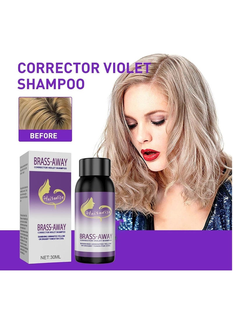 إيلهو شامبو أرجواني للشعر الرمادي - شامبو تونر صبغة الشعر نغمات صفراء نحاسية تحييد للشعر الأشقر والرمادي والرمادي واللون الفضي المعالج ، لتنغيم لون الشعر المصبوغ والمبيض والجاف والتالف - Image 3