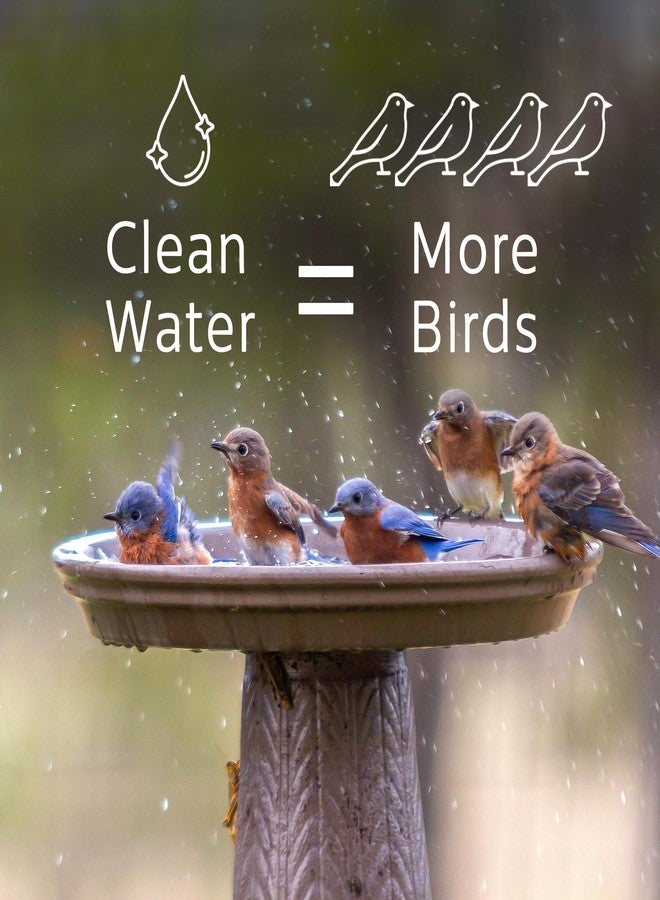 Microbe Lift Microbe-Lift Bird Bath Clear Two-in-One Water Cleaner – 4 Oz – Safe for Birds, Fish & Frogs – Cleans Outdoor Birdbaths & Fountains – Natural Formula, Prevents Stains & Cloudiness - Image 3