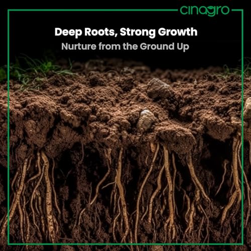 Cinagro Vermicompost 1 Kg 100% Natural Organic Fertilizer Manure for Plants, Nutrient Rich Compost for Home Garden, Ideal for All Gardening Needs, Improves Plant Health, Water Retention & Soil Quality - Image 4