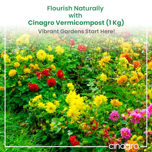 Cinagro Vermicompost 1 Kg 100% Natural Organic Fertilizer Manure for Plants, Nutrient Rich Compost for Home Garden, Ideal for All Gardening Needs, Improves Plant Health, Water Retention & Soil Quality - Image 2
