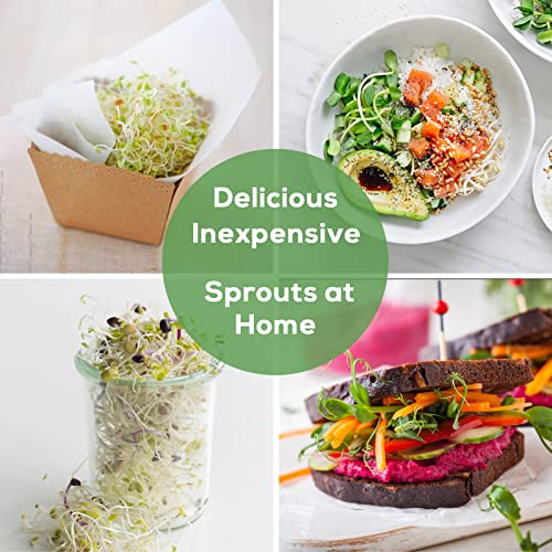 HASWE Seed Sprouting Jar Kit with Wide Mouth Mason Jars, Premium Stainless Steel Screen Sprout Lids, Blackout Sleeves, Tray and Sprouter Stand - Growing Broccoli, Alfalfa, Mung Beans and More - Image 5
