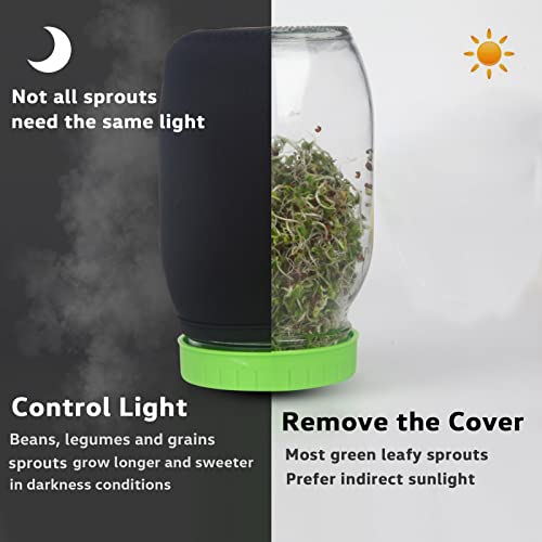 HASWE Seed Sprouting Jar Kit with Wide Mouth Mason Jars, Premium Stainless Steel Screen Sprout Lids, Blackout Sleeves, Tray and Sprouter Stand - Growing Broccoli, Alfalfa, Mung Beans and More - Image 2