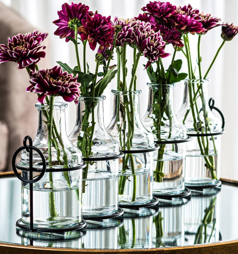 Le'raze 5pc Glass Flower Vase with Metal Holder, Best Vases for Flowers, Set for Home Decor, Wedding Decorations, Table Decor, Kitchen, Bathroom, Bedroom, Shelf Decor, Best Modern Vase for Flower Arrangement - Image 1