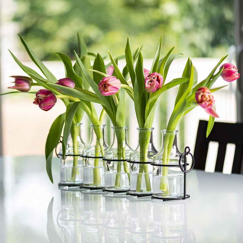Le'raze 5pc Glass Flower Vase with Metal Holder, Best Vases for Flowers, Set for Home Decor, Wedding Decorations, Table Decor, Kitchen, Bathroom, Bedroom, Shelf Decor, Best Modern Vase for Flower Arrangement - Image 2
