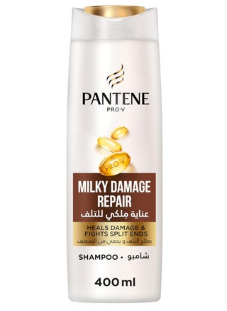 Damage Repair