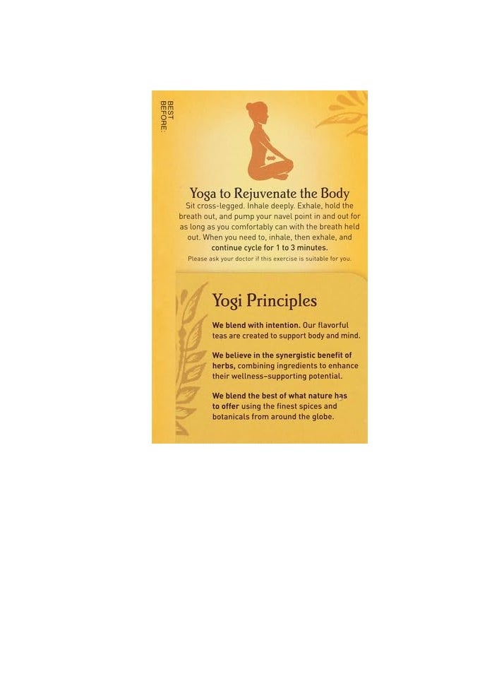 Yogi Tea Yogi Tea, Mango Ginger, 16 Count, Packaging May Vary  - Image 2