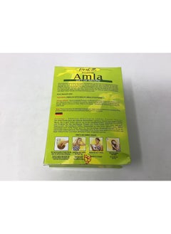 Hesh Hesh Pharma Amla Hair Powder 3.5oz powder  - Image 5