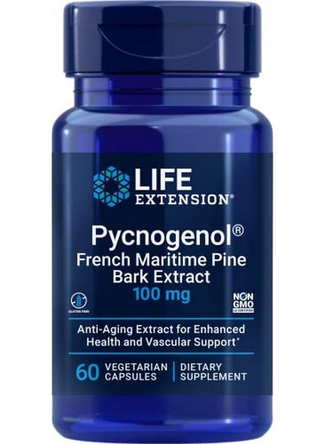 Life Extension Pycnogenol French Maritime Pine Bark Extract 100 Mg For Antioxidant & Vascular Health & Circulation Gluten Free Nongmo 60 Vegetarian Capsules - Image 1