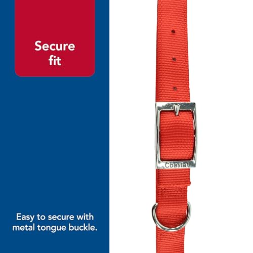 Coastal Pet - Double-Ply Dog Collar, Red, 1" x 20" - Image 5