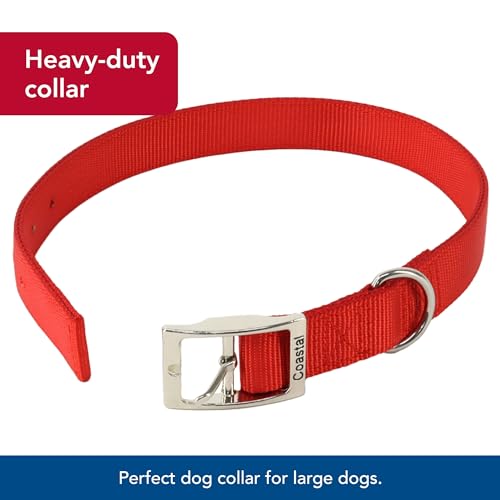 Coastal Pet - Double-Ply Dog Collar, Red, 1" x 20" - Image 4