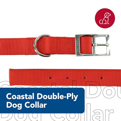 Coastal Pet - Double-Ply Dog Collar, Red, 1" x 20" - Image 2