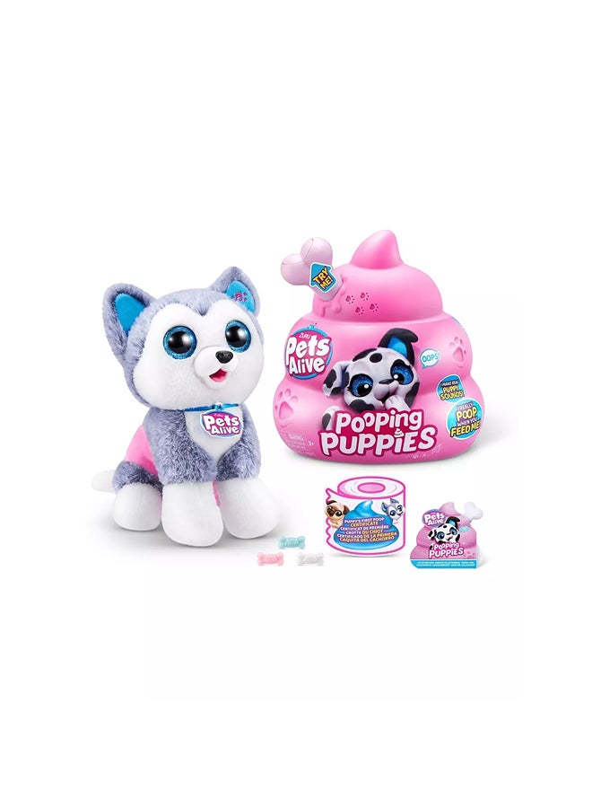 زورو الجراء الأليفة - 9542 - Image 1