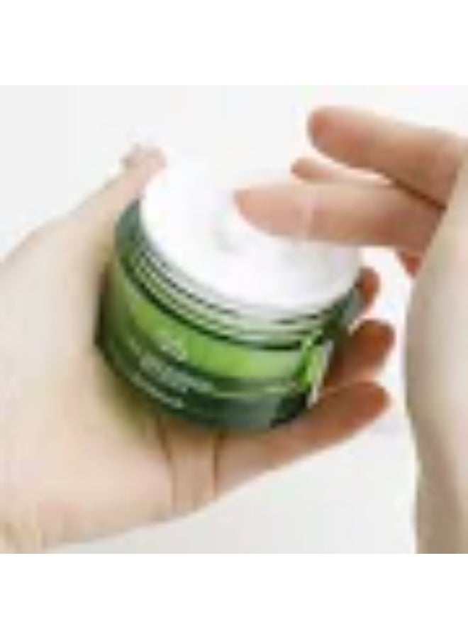 Dr. Ceuracle Tea Tree Purifine 80 Cream 50g - Image 4