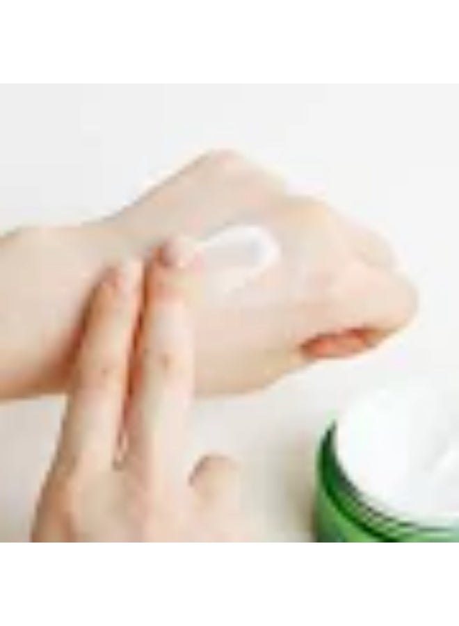 Dr. Ceuracle Tea Tree Purifine 80 Cream 50g - Image 2