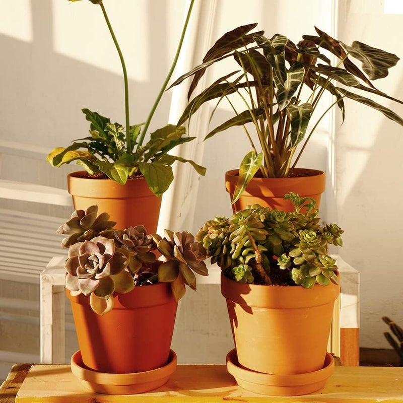 Yishang وعاء نباتي من الطين بقطر 6 بوصات مع صحن 8 قطع للوعاء النباتي الدائري الأوسط - Image 3