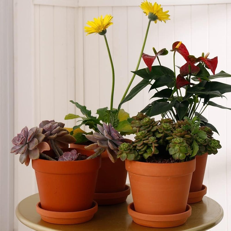 Yishang وعاء نباتي من الطين بقطر 6 بوصات مع صحن 8 قطع للوعاء النباتي الدائري الأوسط - Image 4