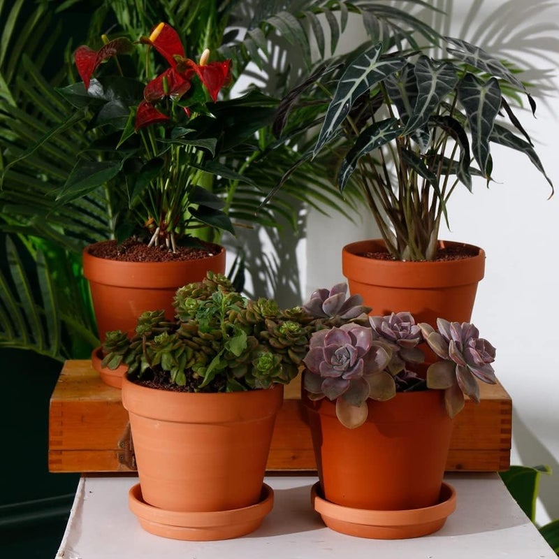 Yishang وعاء نباتي من الطين بقطر 6 بوصات مع صحن 8 قطع للوعاء النباتي الدائري الأوسط - Image 5