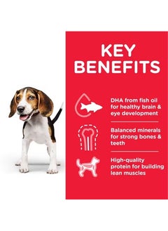 Hill's Science Plan Medium Puppy Food With Chicken 14kg  - Image 2