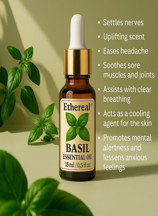 Ethereal Basil (Tulsi) Essential Oil – 100% Pure, Natural & Organic – Therapeutic Grade – For Skin Care, Aromatherapy, Massage, Candles, DIY & Relaxation – 15ml - Image 3