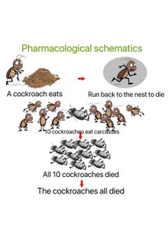 Miezhang Qing Cockroach Killer Powder 10 Pieces 8g  - Image 3
