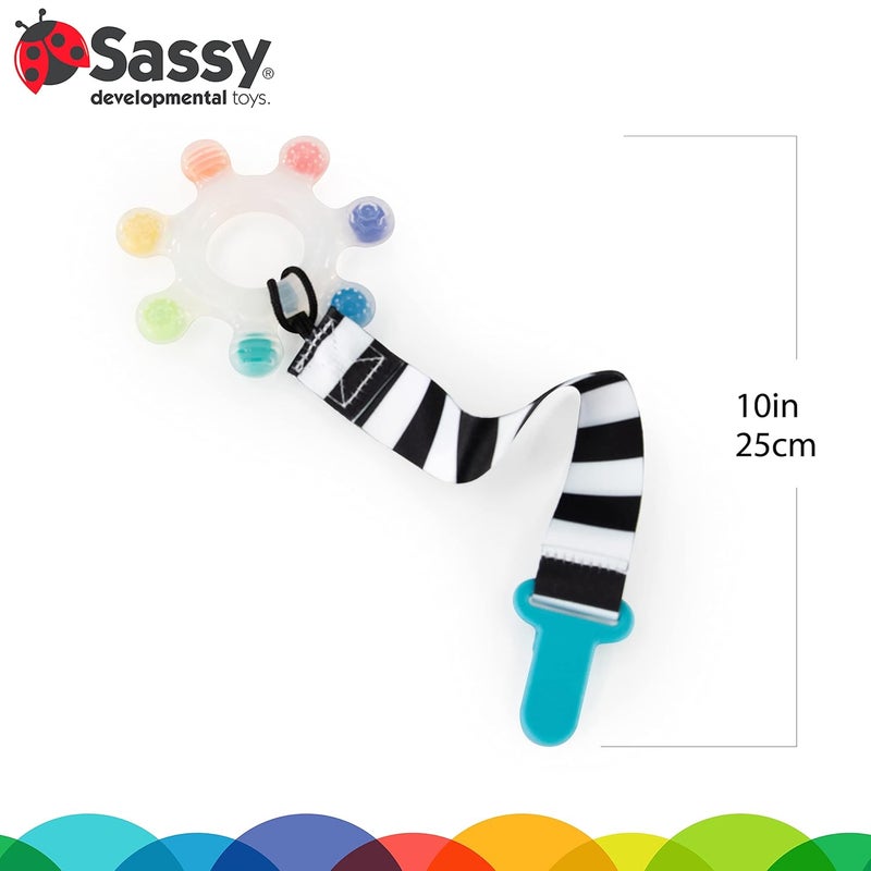 Sassy عضاضة نجمة قوس قزح الجريئة مع حافظة  عضاضة سيليكون ذات ملمس للأطفال في مرحلة التسنين  للأعمار من 3 أشهر وما فوق - Image 2