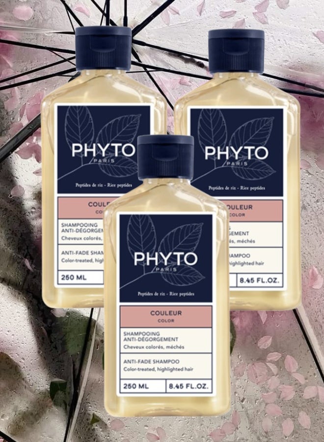 فيتو 3 قطع شامبو فيتو باريس المضاد للبهتان 250مل - Image 1