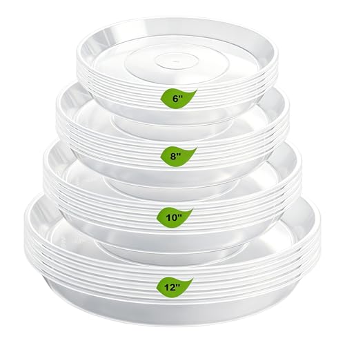 LWALRS 20 Pack Plant Saucer Tray 6 8 10 12 inch Plant Saucers for Indoors Outdoor Plastic Heavy Duty Drainage Drip Water Trays for Planter Pots Flower Clear Pot Saucers Trays for Plants - Image 1
