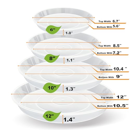 LWALRS 20 Pack Plant Saucer Tray 6 8 10 12 inch Plant Saucers for Indoors Outdoor Plastic Heavy Duty Drainage Drip Water Trays for Planter Pots Flower Clear Pot Saucers Trays for Plants - Image 3