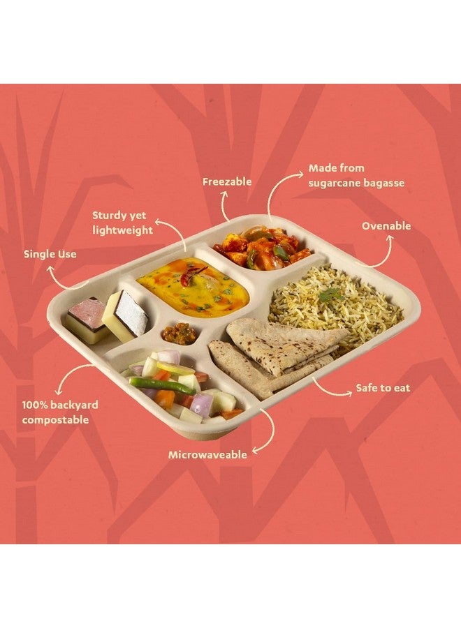 SANWALSA [5-Compartment, 15 Count, Beige Disposable Bagasse Plates | Eco-Friendly Sugarcane Meal Tray for Wedding, Party, Picnic, Event | Mess-Free Sections - Image 2