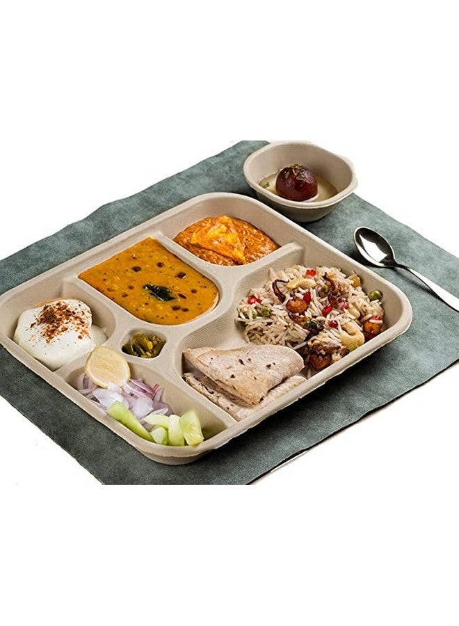 SANWALSA [5-Compartment, 15 Count, Beige Disposable Bagasse Plates | Eco-Friendly Sugarcane Meal Tray for Wedding, Party, Picnic, Event | Mess-Free Sections - Image 3