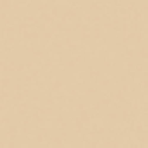 Rosco Roscolux Bastard Amber, 20x24" Color Effects Lighting Filter - Image 1