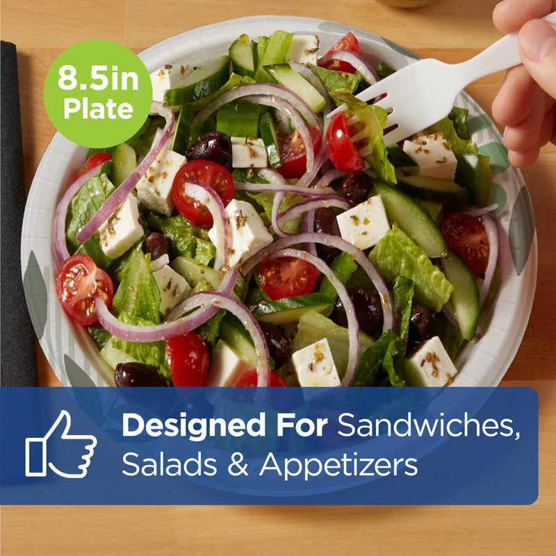 Dixie 8 1/2 Inch Medium-Weight Disposable Paper Plates, Pathways, 300 Count, Bulk Case, 6 Packs/50 Count Per Pack, (Georgia-Pacific #UX9P300) - Image 3