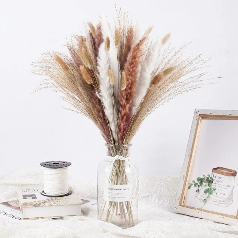 Bluejw Dried Babysbreath Flowers Pampas Grass Bunny Tails Bouquet - Christmas Mother's Day Bunch Gift - Natural Dried Plants Floral Arrangement Home Decor - Image 4