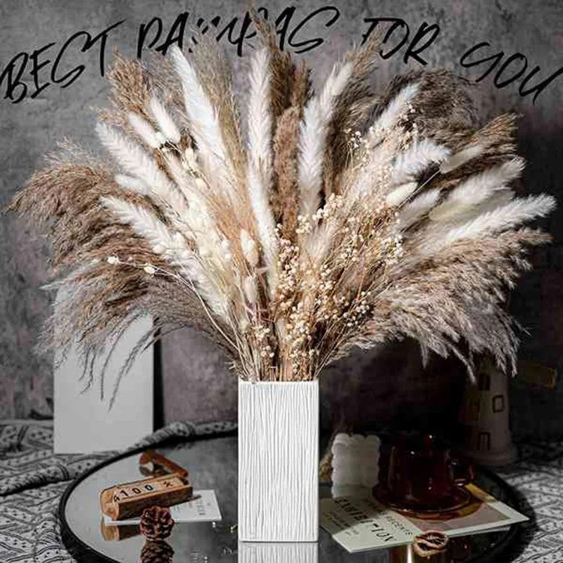 Bluejw Dried Babysbreath Flowers Pampas Grass Bunny Tails Bouquet - Christmas Mother's Day Bunch Gift - Natural Dried Plants Floral Arrangement Home Decor - Image 3