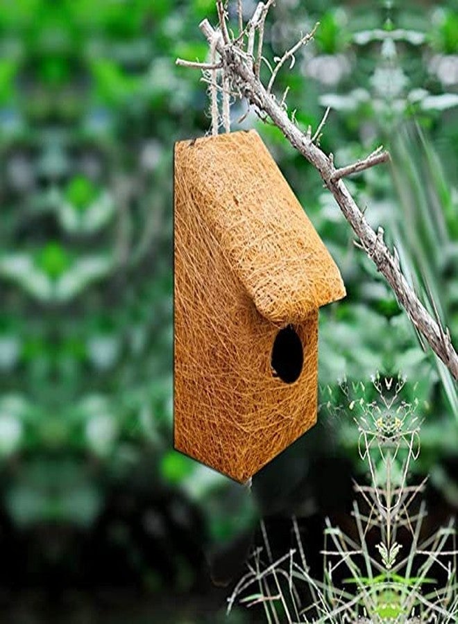 LIVEONCE Safest Organic Bird Nest Single Window Slide House Purely Handmade Nest for All Small Birds - (Small) - Image 5