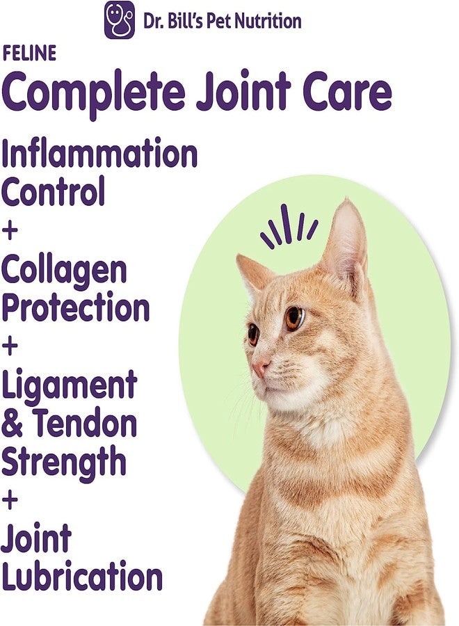 Dr. Bill's Dr. Bill’s Feline Complete Joint Care | Advanced Hip & Joint Supplement for Cats | Green Lipped Mussel Extract, Collagen Type II, Chondroitin, Hyaluronic Acid, Omega 3 and Colostrum | Powder, 85g - Image 3
