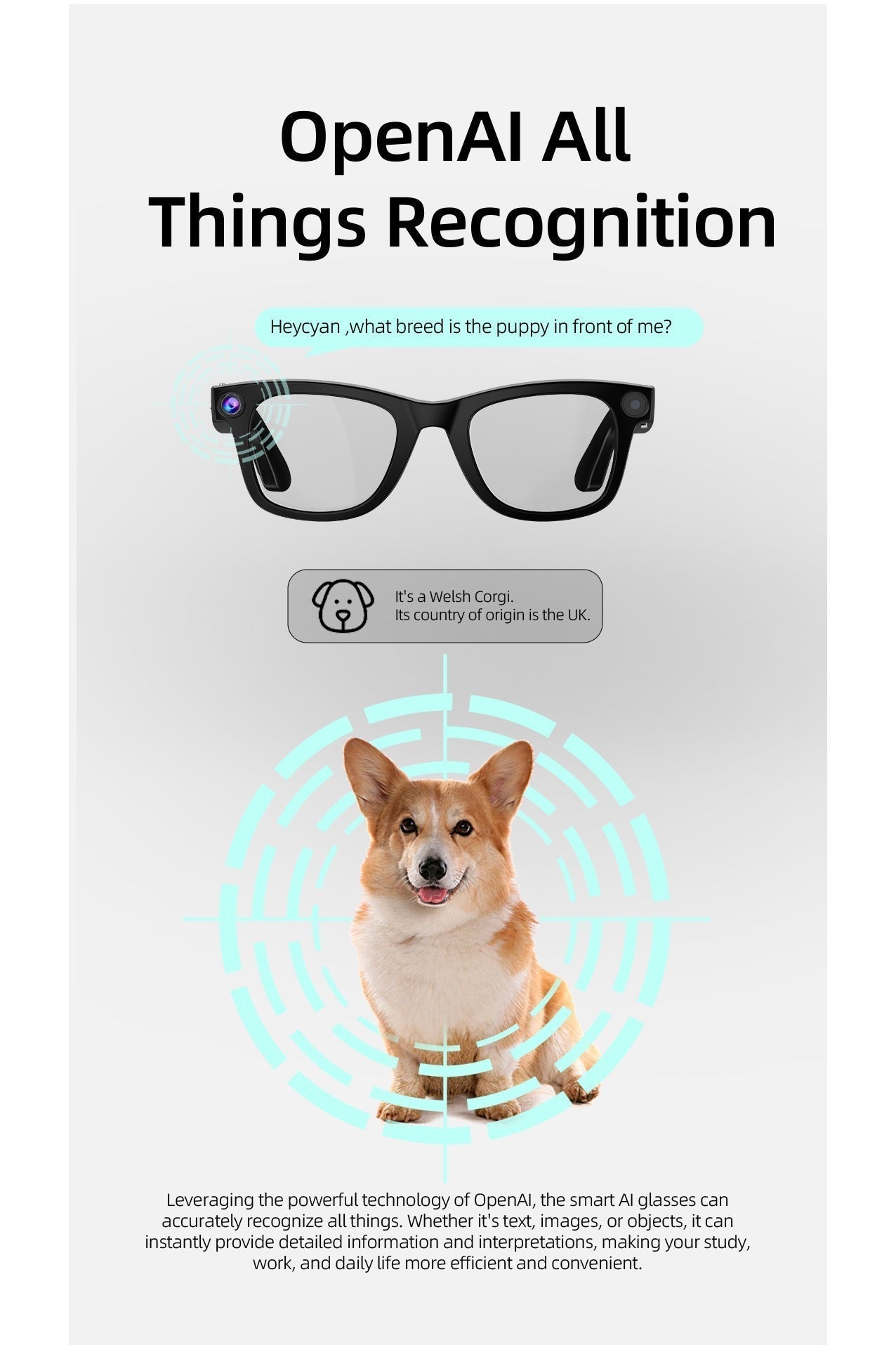 ZXING ZXING AI Smart Glasses Multilingual Voice Command HD Visual