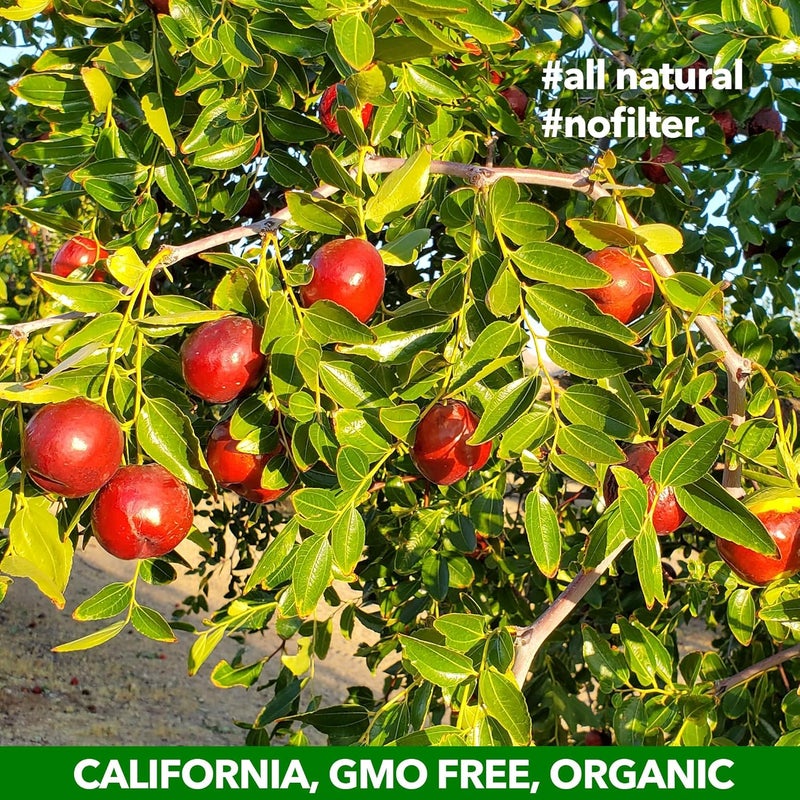 JUJUME Organic California Grown Jujubes Red Dates - 10-Pack of 6 oz. Bags - High Grade Superfood Dried Fruit - Image 4