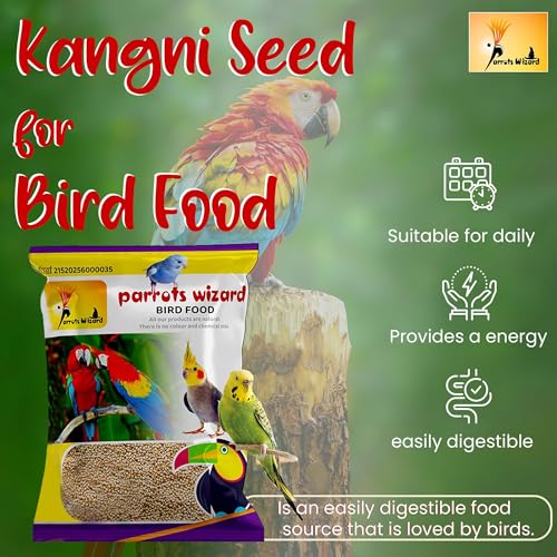 Parrots Wizard All Life Stages Dry Bird Food Small Size Kangni Seed Bird Food 950 Grams Pack of 2 - Image 2