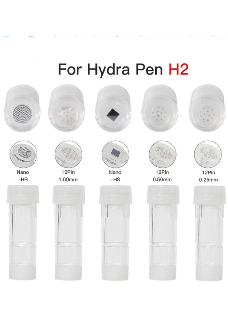 hydra 10Pcs H12pins/0.25mm/0.5mm/1.0mm/Nano-HS/Nano-HR Needle Replacement Cartridges for Hydra Pen H2/Microcrystalline Hydrometer - Image 1