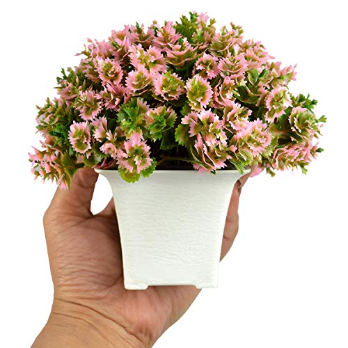 Crystu Beautiful Artificial Bonsai Plant with Pot | Bonsai Tree & Plant | Bonsai Tree for Indoor Office Home Decor Showpiece Pack 0f 1 pc - Image 2