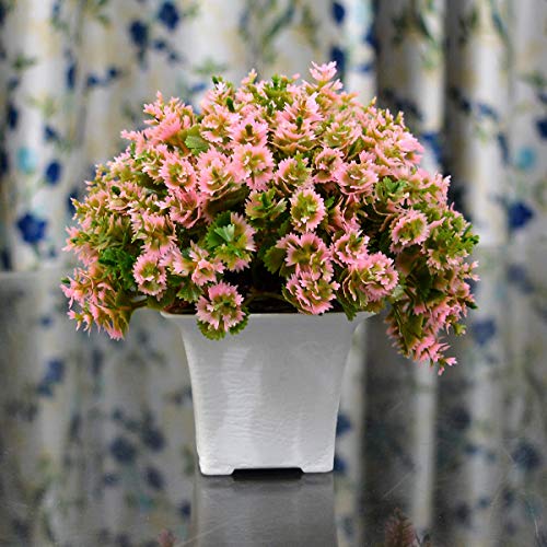 Crystu Beautiful Artificial Bonsai Plant with Pot | Bonsai Tree & Plant | Bonsai Tree for Indoor Office Home Decor Showpiece Pack 0f 1 pc - Image 4